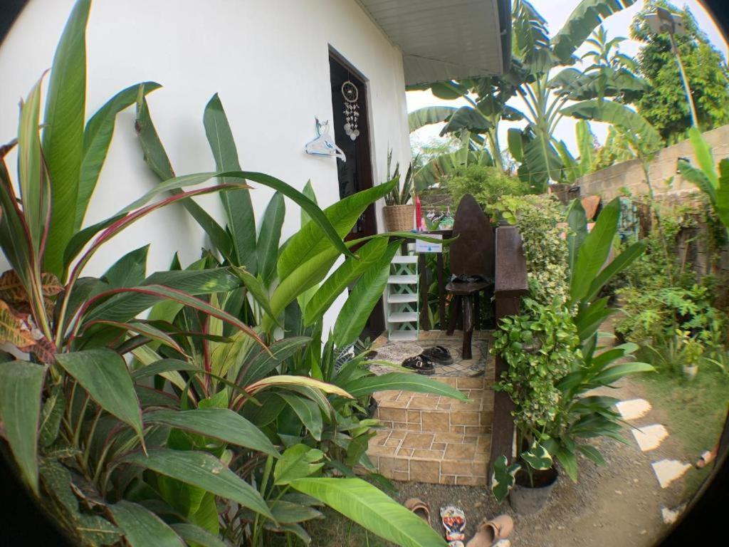 Homestay Jml *